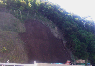 植物誘導吹付工